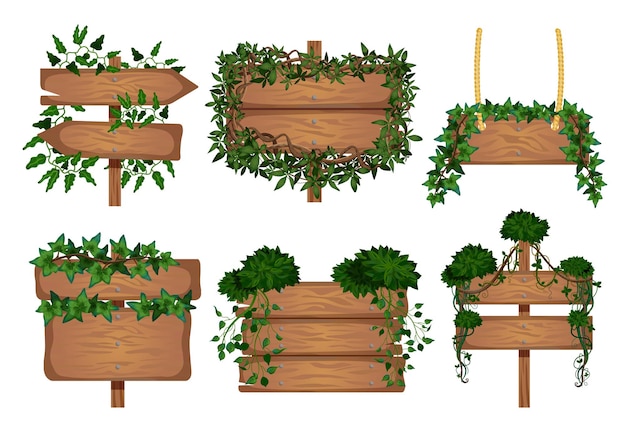 Set di tavole di legno di liane tropicali con immagini isolate di insegne avvolte da foglie di vite