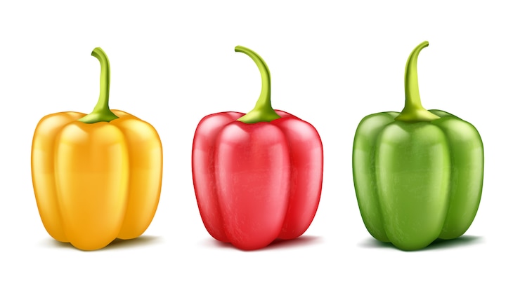 Vettore gratuito set di tre peperoni realistici o bulgaro, rosso, verde e giallo