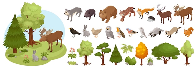 Set grande animali della foresta