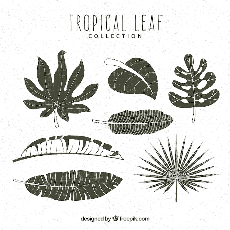 Vettore gratuito set moderno di foglie tropicali disegnati a mano