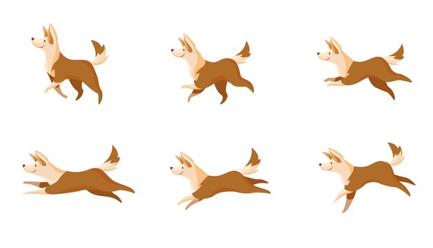 Set movimento cani veloce o lento
