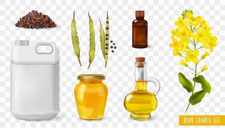 Vettore gratuito set trasparente di colza di colza con simboli di fabbricazione realistici illustrazione vettoriale isolato