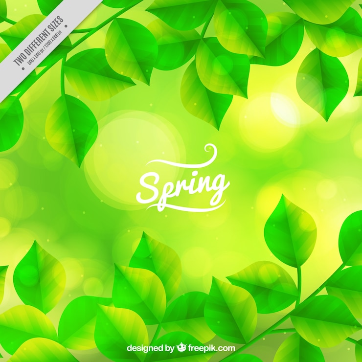 Vettore gratuito sfondio primaverile con effetto bokeh