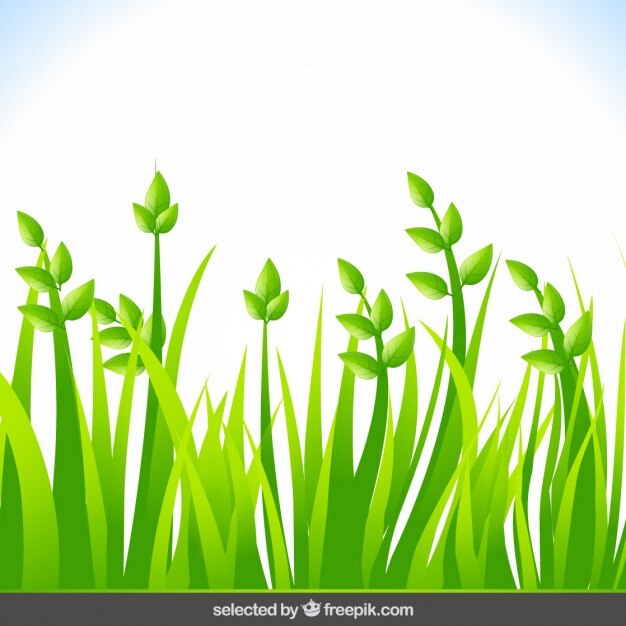 Vettore gratuito sfondo con erba verde