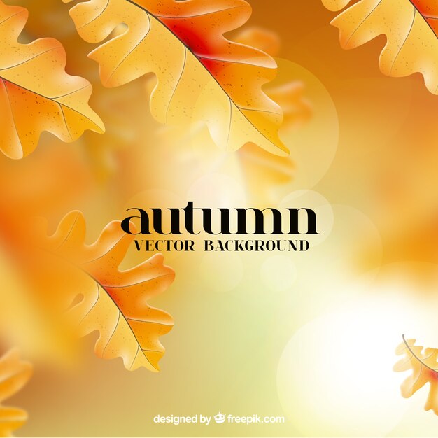 Sfondo con foglie d&#39;autunno d&#39;oro