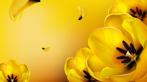 Sfondo con tulipani gialli, petali volanti e copia spazio per il testo.