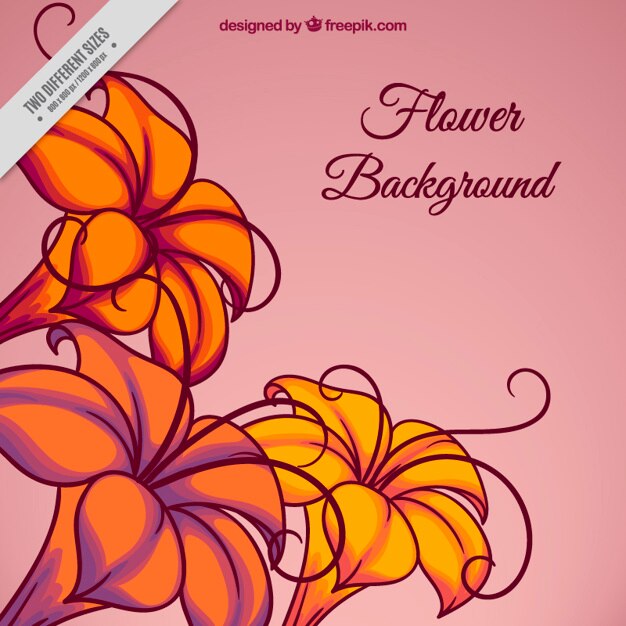 Vettore gratuito sfondo di fiori esotici disegnati a mano