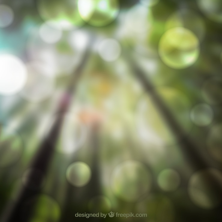 Vettore gratuito sfondo di foresta defocused