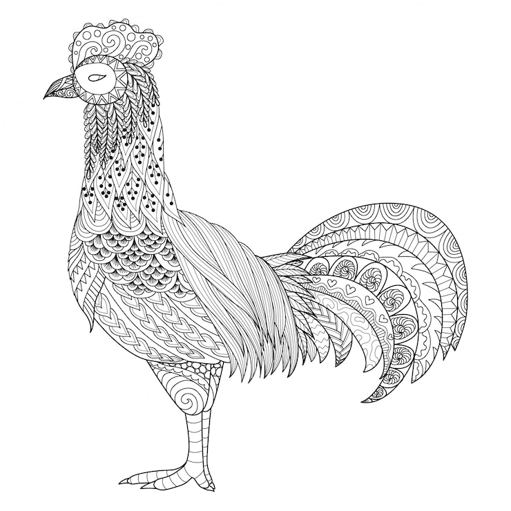 Vettore gratuito sfondo di gallo disegnato a mano
