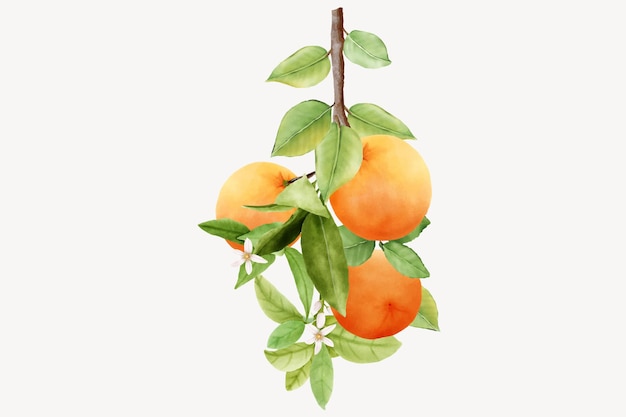 sfondo di rami di mela botanica disegnata a mano