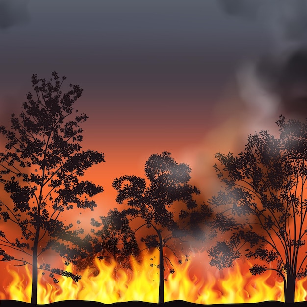 Sfondo realistico di incendi boschivi con fumo di alberi in fiamme e bagliore rosso nell'illustrazione vettoriale del cielo notturno