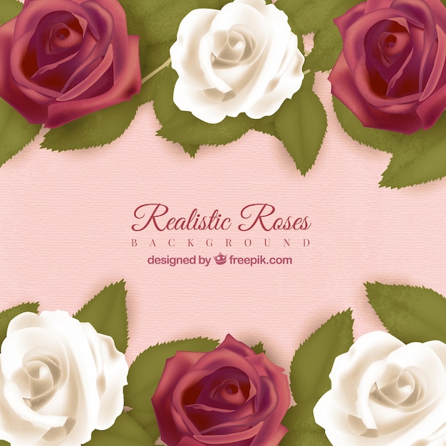 Sfondo rosa con rose in design realistico