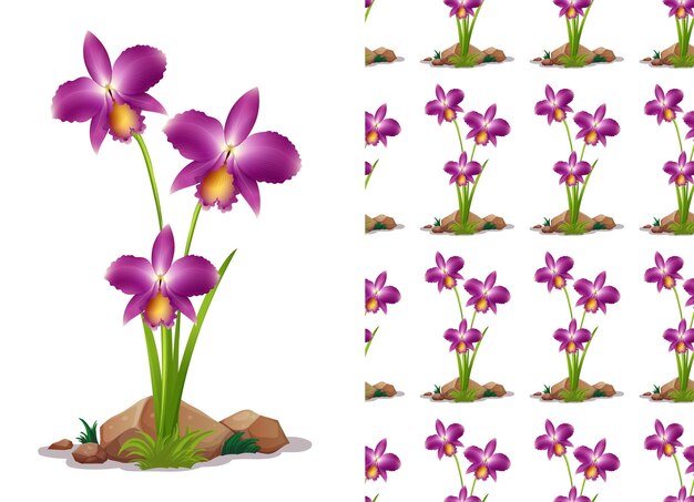 Sfondo senza soluzione di continuità con fiori di orchidea su roccia