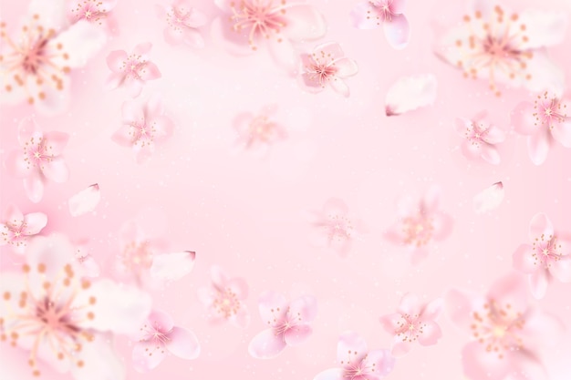 Sfondo sfocato con fiori di ciliegio