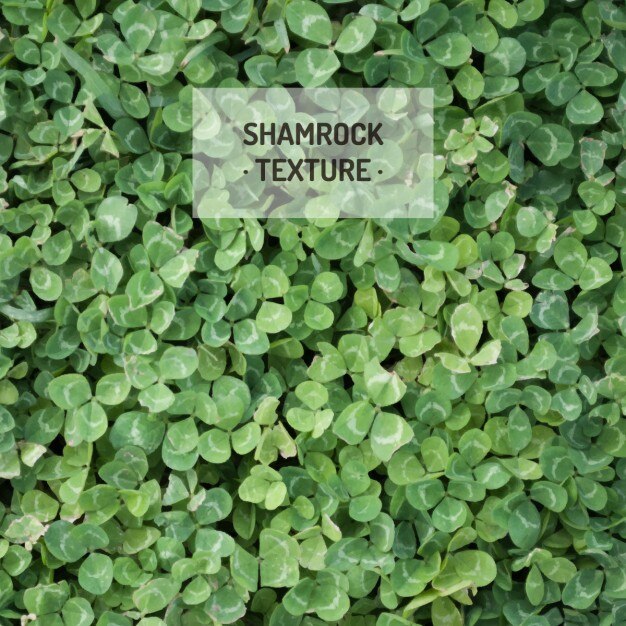 Vettore gratuito shamrock tessitura