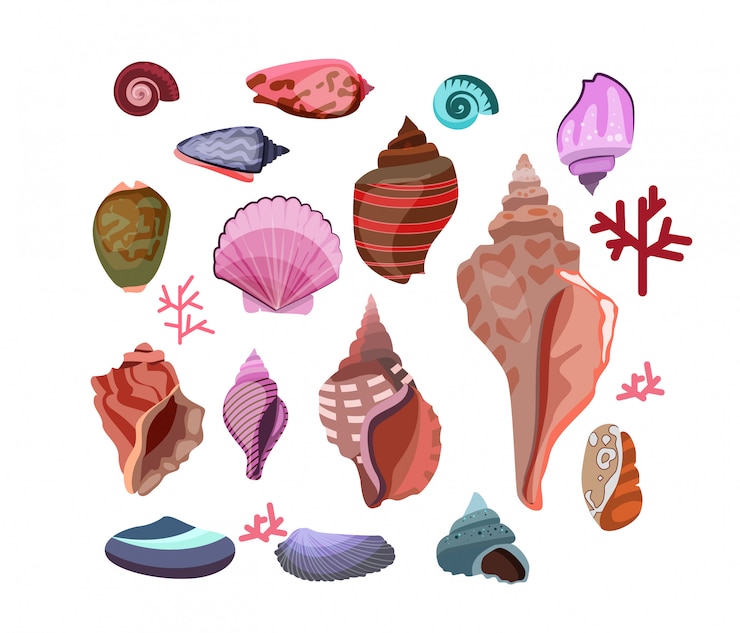 Vettore gratuito shell imposta illustrazione