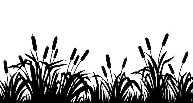 Silhouette canne di palude erba di giunco di tifa Bordo isolato di piante di palude