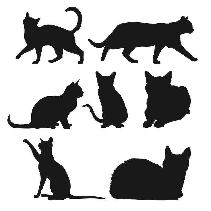 Vettore gratuito silhouette di gatti in posizioni diverse