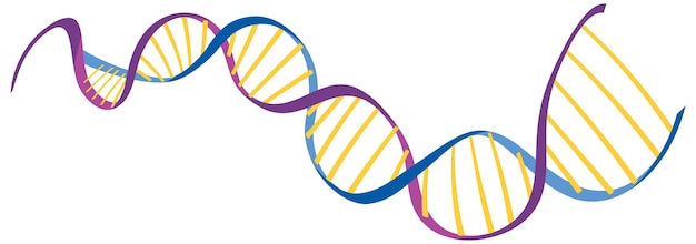 Simbolo dell'elica del DNA isolato su priorità bassa bianca