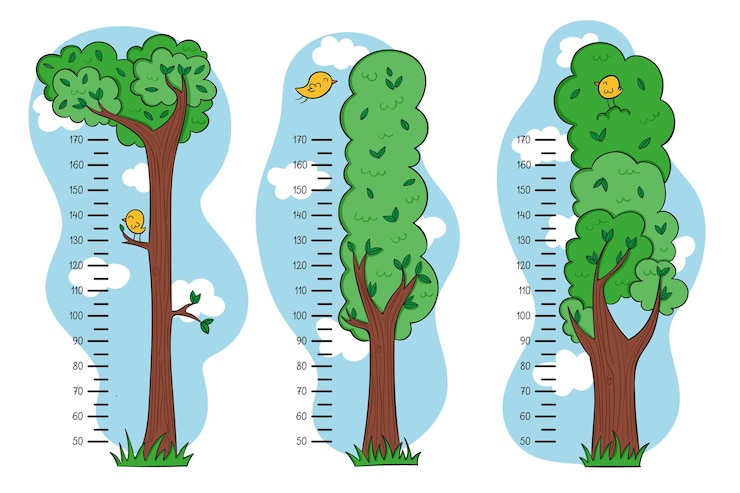 Vettore gratuito simpatici misuratori di altezza disegnati illustrati