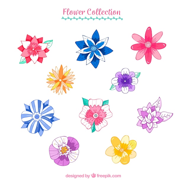 Stile disegnato colorato collezione di fiori in mano