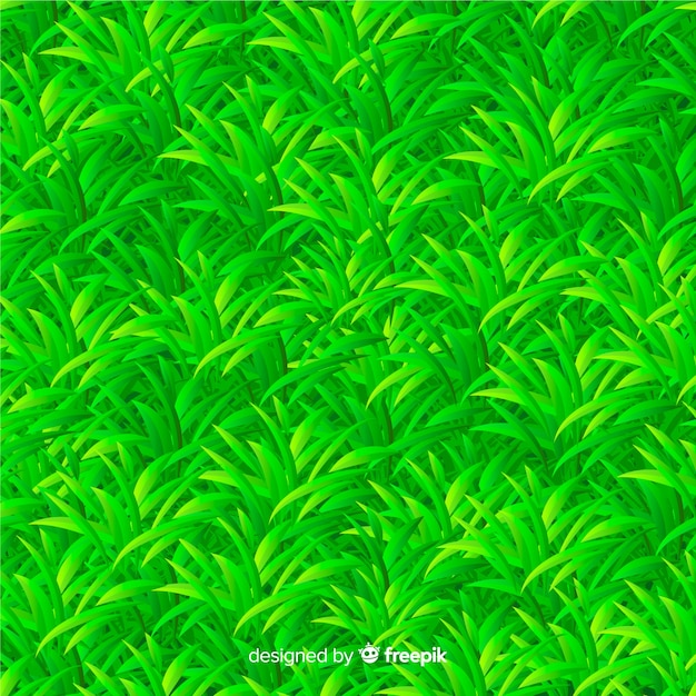 Stile realistico del fondo dell&#39;erba verde