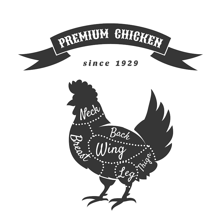 Vettore gratuito tagli di pollo per poster di macelleria.
