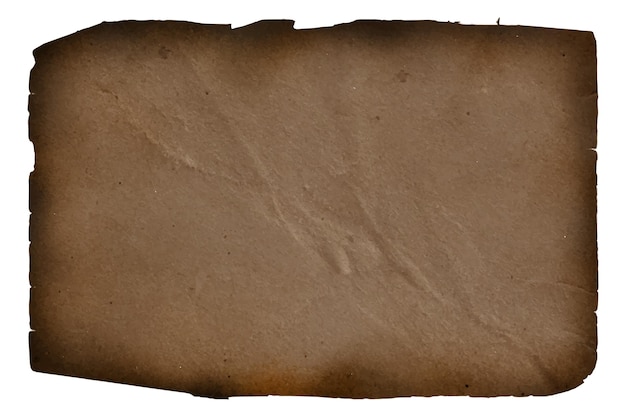 Texture realistica della carta bruciata