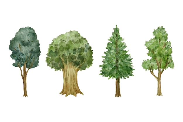 Tipo di alberi in stile acquerello