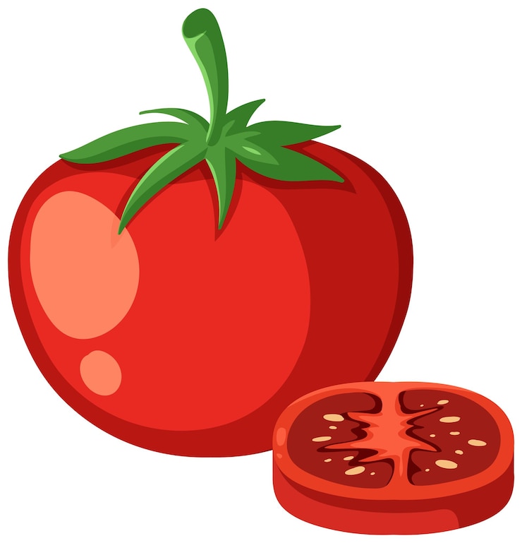 Vettore gratuito tomato fresco a metà tagliato
