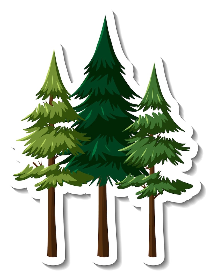 Vettore gratuito tre alberi di pino in stile cartone animato