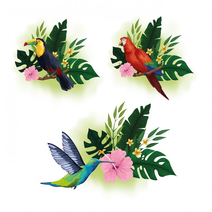 Vettore gratuito uccelli esotici e fauna tropicale