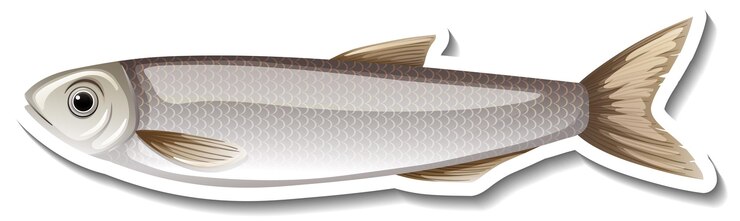 Vettore gratuito un adesivo cartone animato pesce grigio