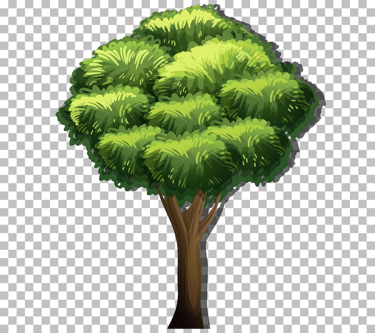 Vettore gratuito un albero con foglie verdi su sfondo trasparente