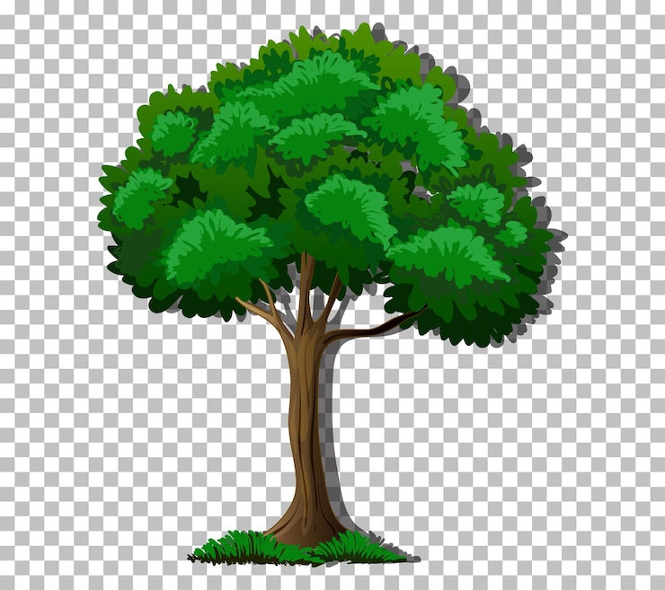 Vettore gratuito un albero con foglie verdi su uno sfondo trasparente