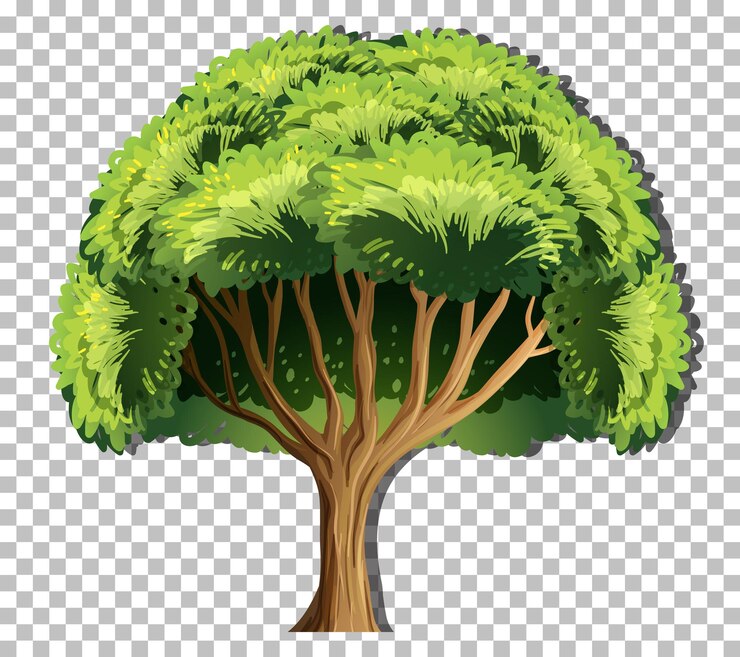 Vettore gratuito un albero isolato su sfondo trasparente