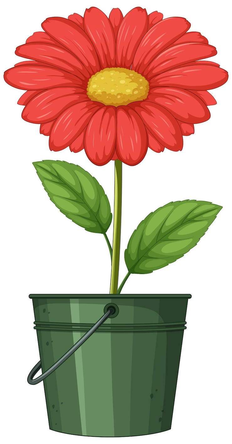 Vettore gratuito un fiore rosso vibrante in un secchio verde