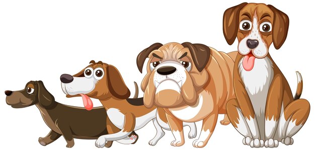 Un gruppo di cani diversi su sfondo bianco