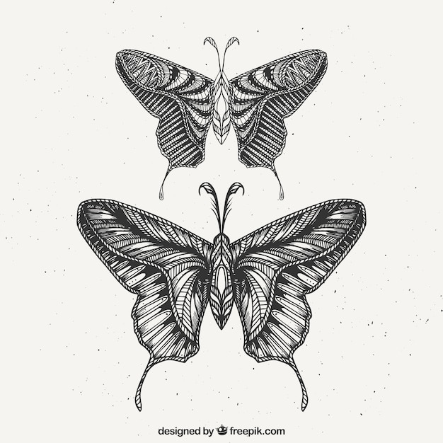 Un insieme di due farfalle disegnate a mano