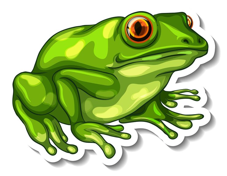Vettore gratuito un modello di adesivo con una rana verde isolata