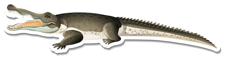 Vettore gratuito un modello di adesivo del personaggio dei cartoni animati di coccodrillo
