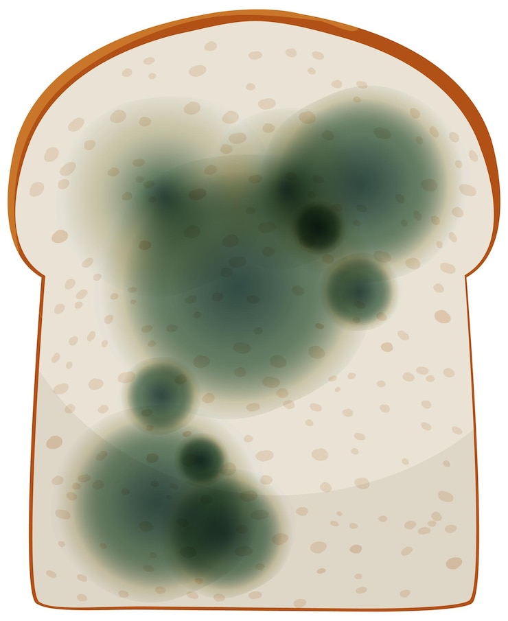 Vettore gratuito un pezzo di pane con lo stampo