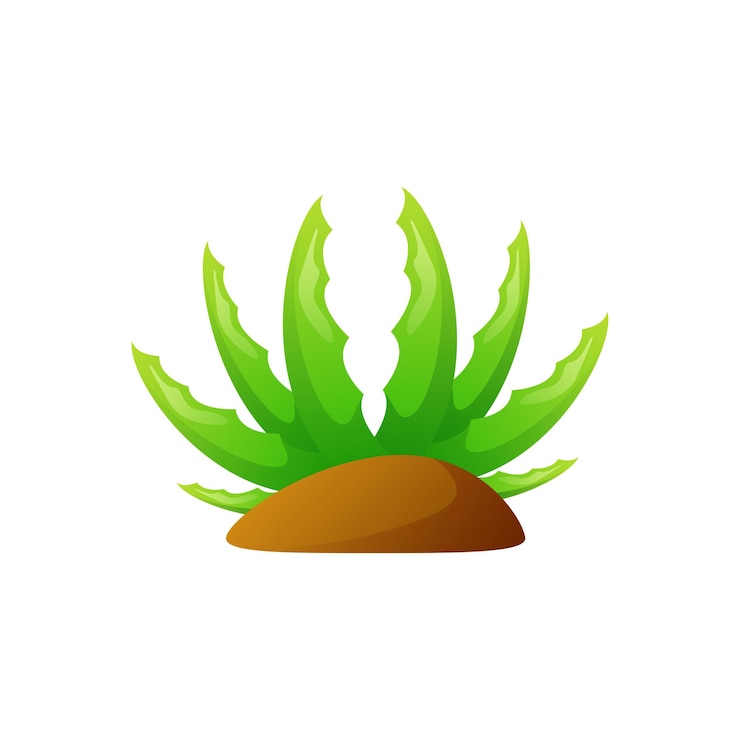 Vettore gratuito una pianta verde di aloe vera con un tumulo di terra