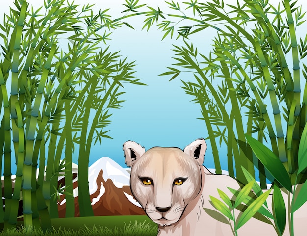 Una tigre spaventosa nella foresta di bambù