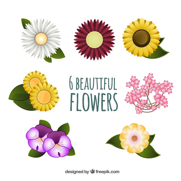 Vettore gratuito varietà di bellissimi fiori