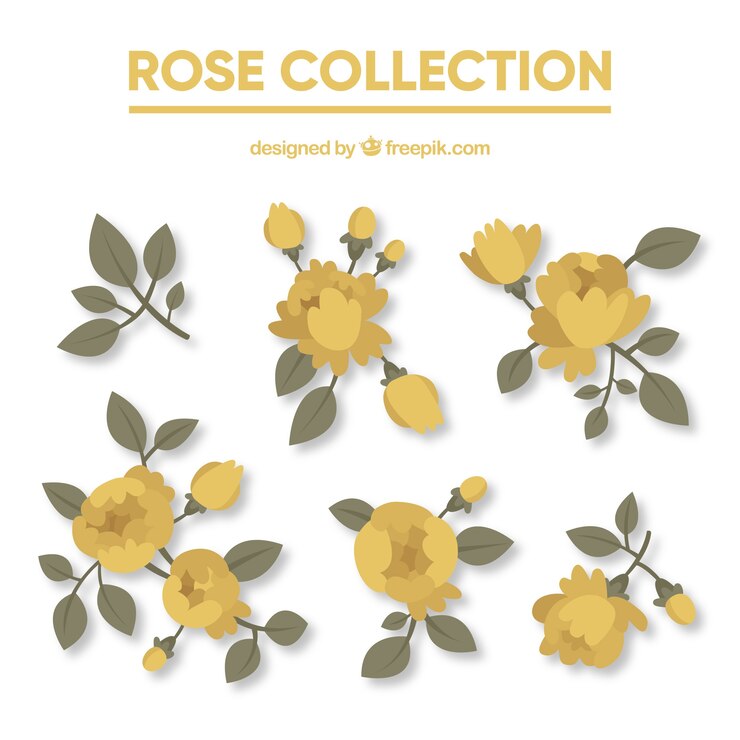 Vettore gratuito varietà di rose gialle