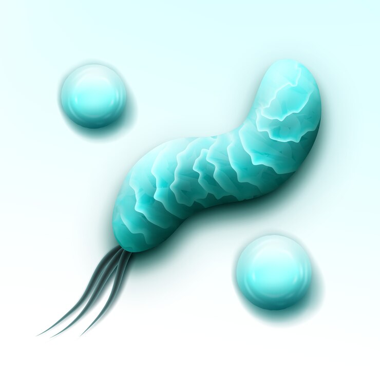 Vettore gratuito vector abstract cocchi e spirilla batteri con flagelli vista dall'alto isolato su sfondo bianco