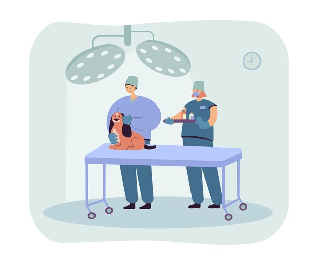 Veterinari che esaminano il cane e danno medicine