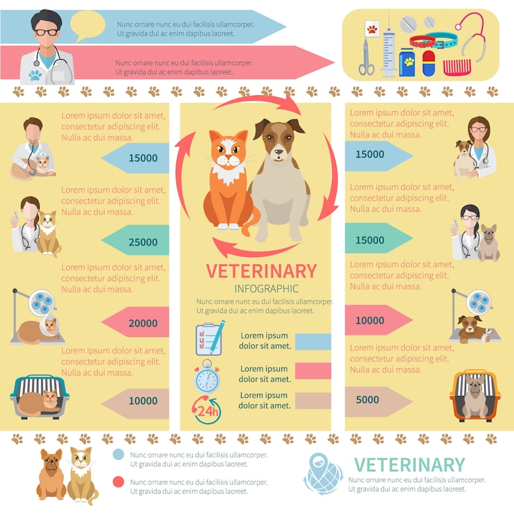 Vettore gratuito veterinaria modello infografica