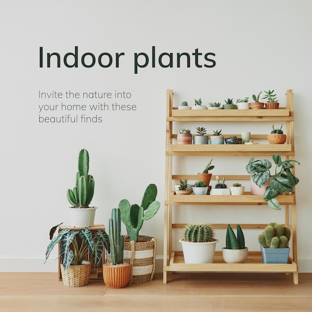 Vettore di modello di giardinaggio indoor con piccole piante d'appartamento